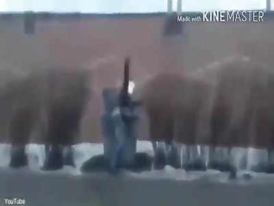 Russian man throws girlfriend in rubbish bin