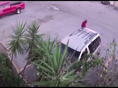  murder man shot 13 times 'execution style' in Florida