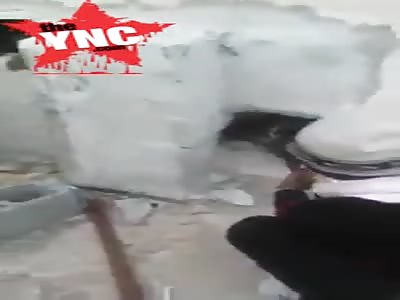 Refugees act like dogs in Libya 