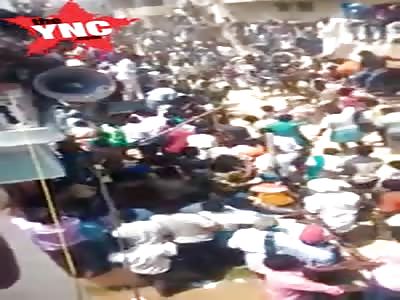 funny accident between two bulls 