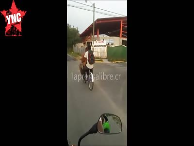  52 year man died today after a spectacular traffic accident with a bull 