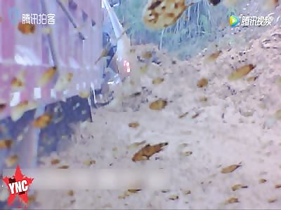 7 buried alive under a  landslide