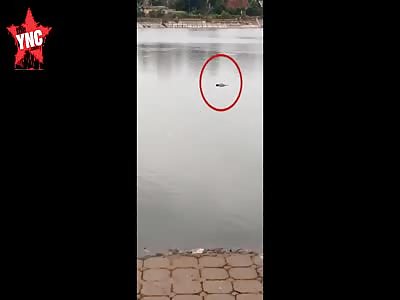 everybody comes to see the corpses drifting between the lake 