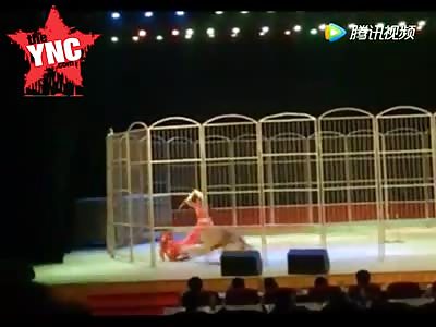  Tiger tried to eat a Buddhist