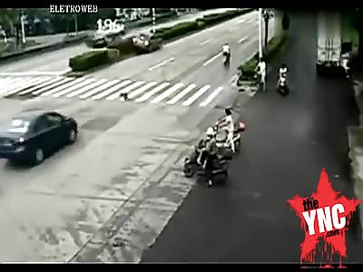 a dog made the car crashed