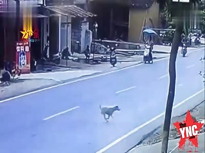 electric car driver nearly died