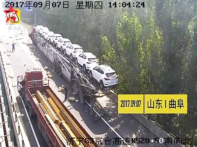 a truck full of ducks get crushed