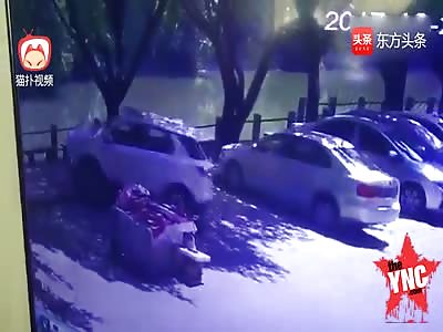 The worst driver ever