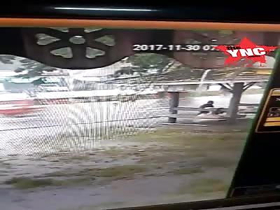 a Auntie with her pigs in the rain survived when a car crashed into her  in thailand