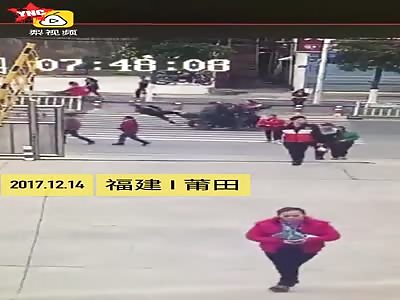 accident on the zebra crossing