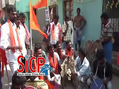 Dog and  donkey get married on Valentine's Day To protest against Valentine's Day celebration