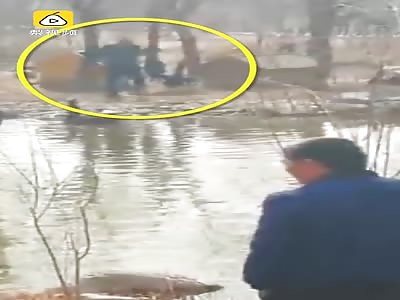 hungry for   black swans