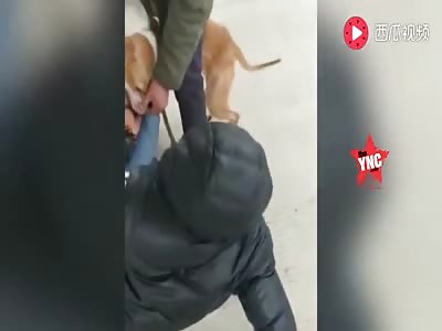 a dog would not let go of his leg in  Guangdong 