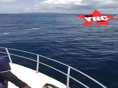 Body discovery   In Denpasar, Bali