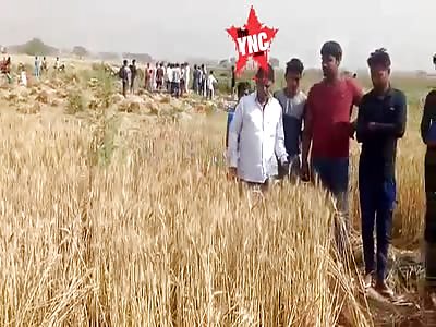 Rotting Wheat farmer found