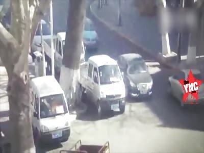 a  big tree crushed a man in his vehicle in henan zhengzhou