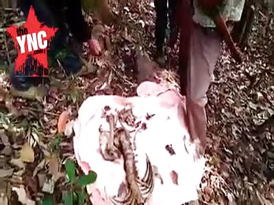 bones of a dead soldier in  myanmar (burma ) 