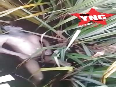 funny body discovery in the village of Karangsia 