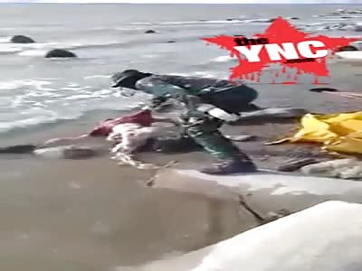 body discovery after the earthquake and tsunami two weeks ago in palu