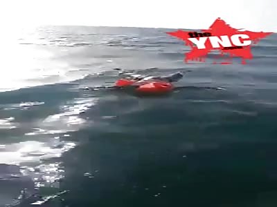 fisherman find a dead refugee[ Harraga] in Algeria