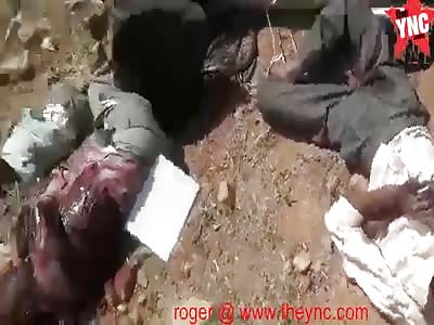 Seven killed, 15 injured in Nalgonda  