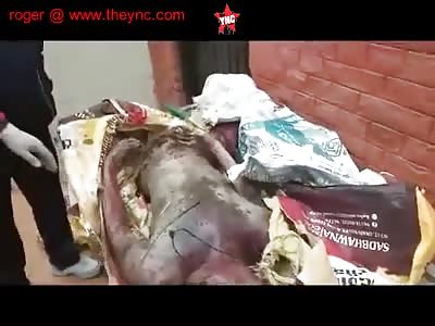 out side the hospital citizens  find a rotten dead man in Patiala