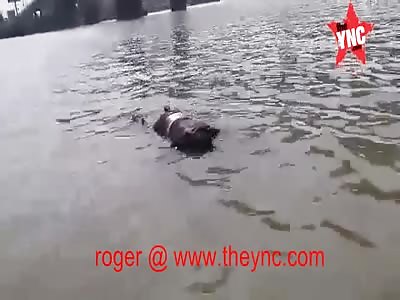 floating dead man in Cambodia 