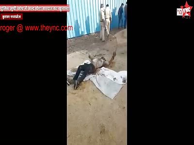 man was killed in Madhya Pradesh