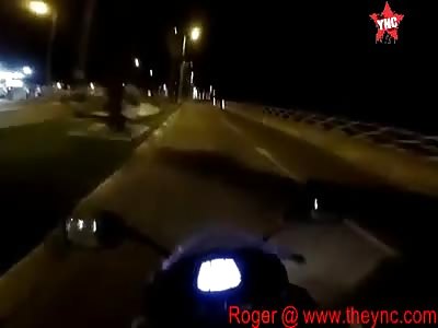 dog accident in Israel 