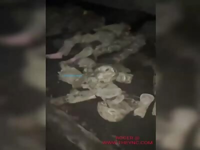 Dead soliders during the night battle in Nikolaevka