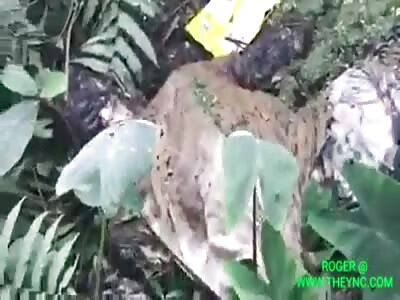 The discovery of a dead body in Vikarabad