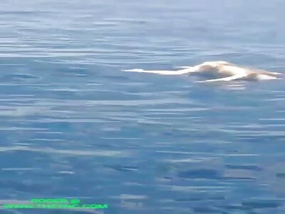 Fishermen discover a floating dead woman in the waters of Mbuli Beach