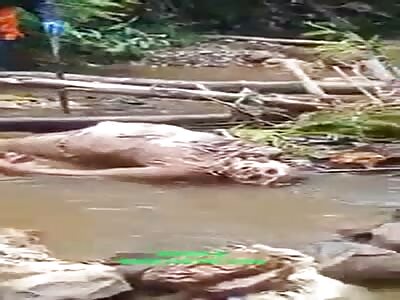 The discovery of a dead body in Jorong Bio-Bio