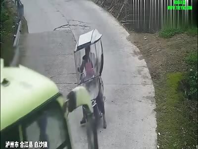 Zhao died when a bus crashed into him in Luzhou City