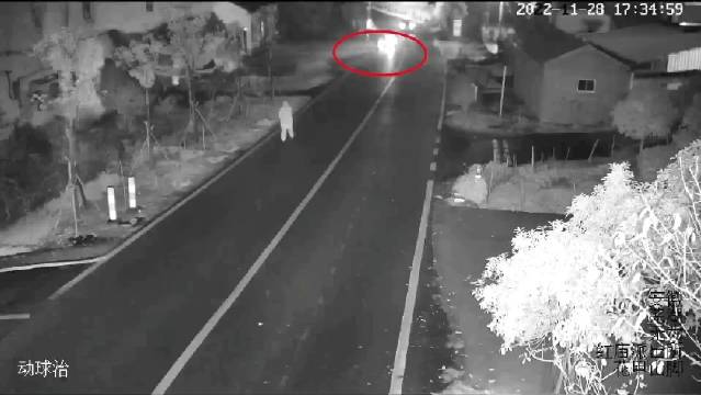 Wang on his electric bicycle crashed into Miao at Huajia Mountain