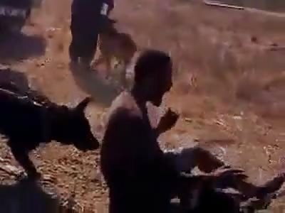 Deputies dogs dine on 