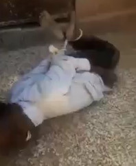 Young Sudanese tortured in Libya