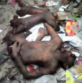 Train Horror: Ripped To Pieces Suicidal Man On The Train Lines