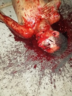 Nice Bloody Crime Scene