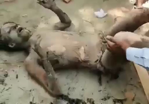 A Transgender was Burnt Alive in Sahiwal[AFTERMATH]