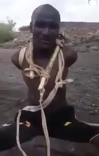 Torture from Zimbabwe