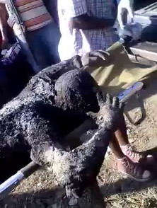 African Biker Burns to Crisp When His Bike Spontaneously Explodes