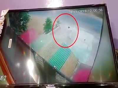 Needless To Say, He Did Not Survive.