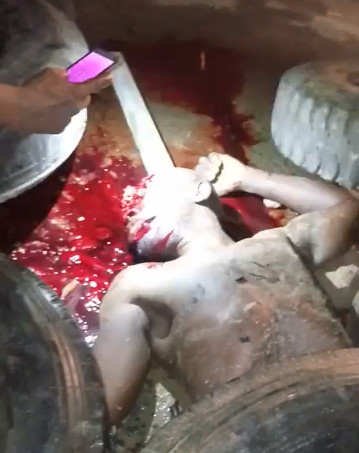 Bloody Crimes Scenes