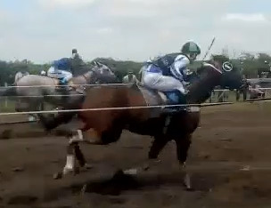 Elderly Man is Killed by a Speeding Racehorse 