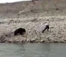 Bear Attacks a Man...Andhra Pradesh,India