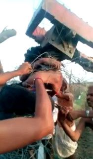 Farmer Mangled in his Own Machine