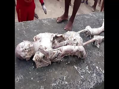 PEOPLE HAVING A SHITTIER DAY THAN YOU [BRUTAL EDITION]