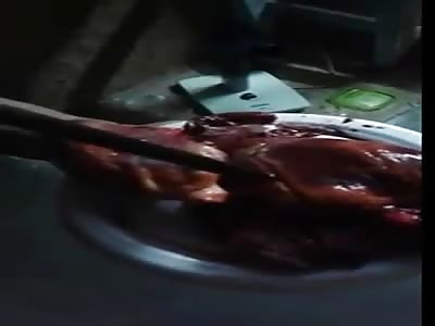 Cooking human organs