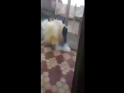 Rebel Blows His Own Ass Off